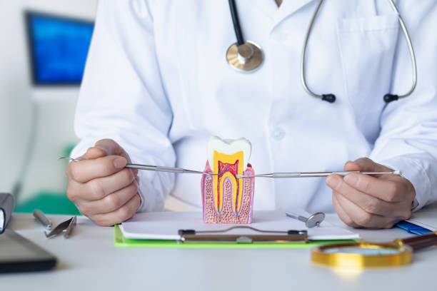 Best Urgent Care for Lost Fillings or Crowns in Rib Mountain, WI
